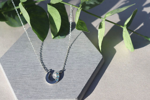 Horseshoe Necklace